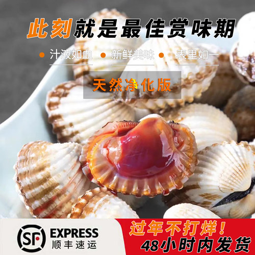 三门发货海鲜温州乐清柳市翁垟血哈花蛤 血蛤 鲜甜肉厚美味活蛤