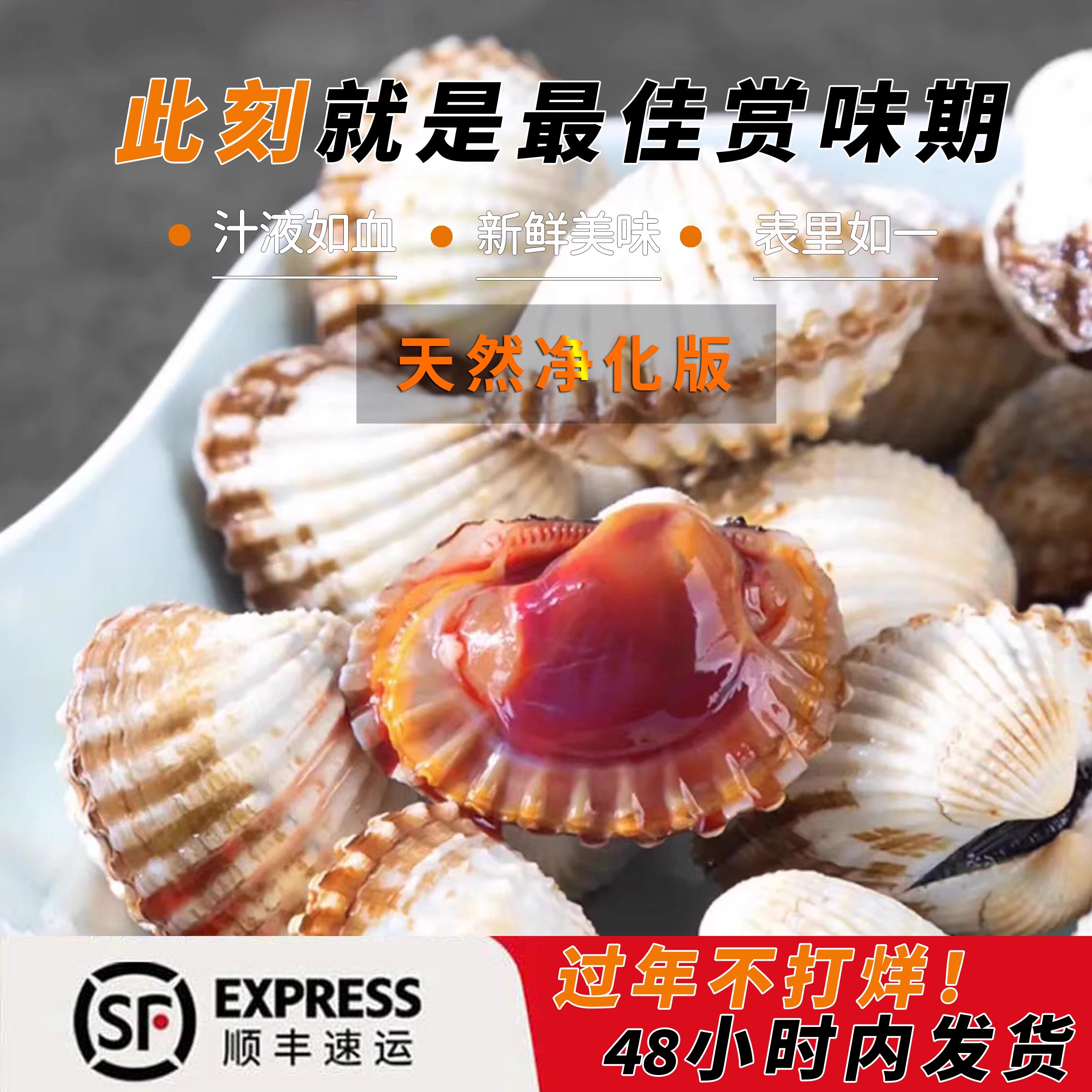 正宗三门血蛤海鲜温州乐清柳市翁垟人都爱吃的花蛤 鲜甜肉厚美味