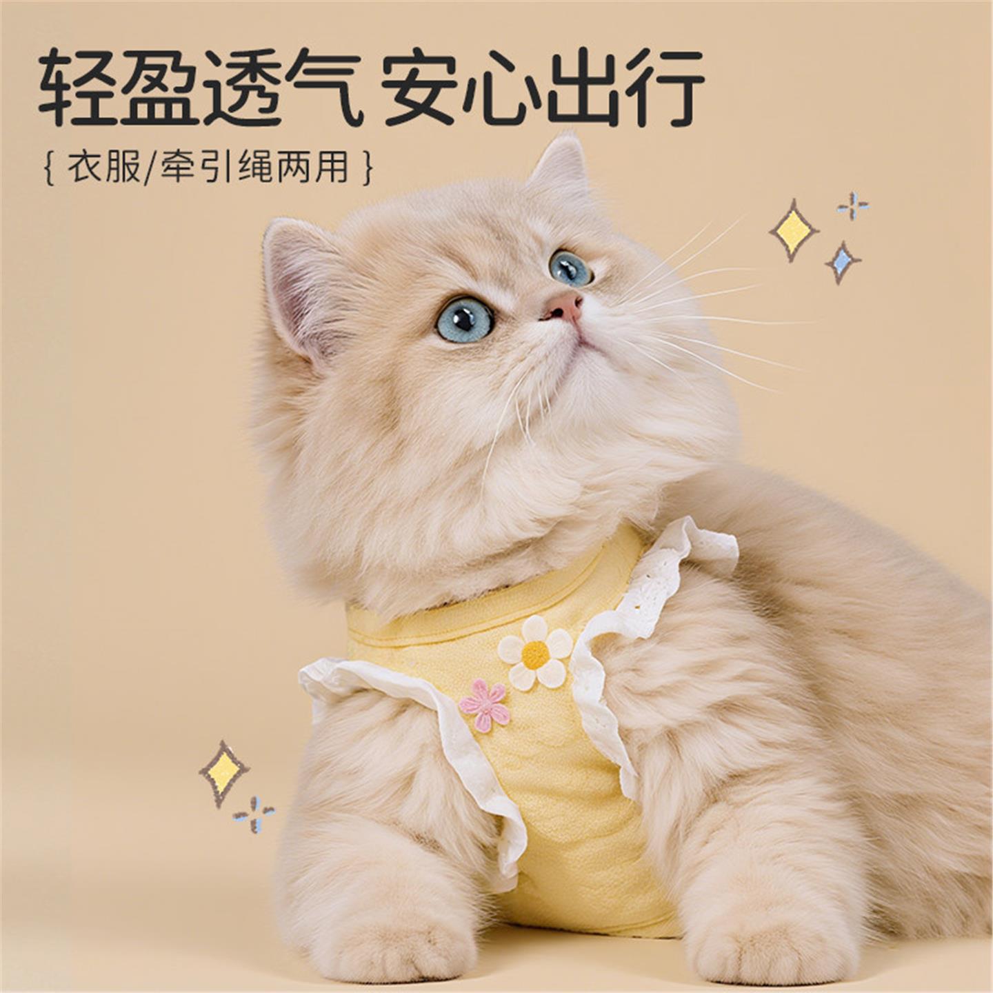 猫咪牵引绳防挣脱不勒脖背心式外出专用小猫幼猫胸背带项圈遛猫绳