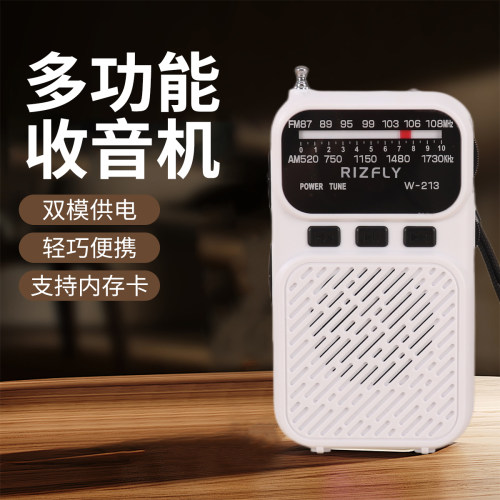 小型收音机插卡蓝牙音响手电筒背夹双模供电