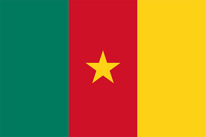 *国旗可防号定制订做192cm各国1283旗帜包邮喀麦隆.防水v晒