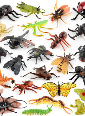 儿童科教仿真昆虫动物模型蝴蝶青蛙蝎子瓢虫森林动物沙盘场景摆件