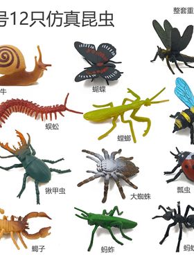 新款12只昆虫模型软胶实心仿真儿童认知玩具蜜蜂蜘蛛蛇小动物
