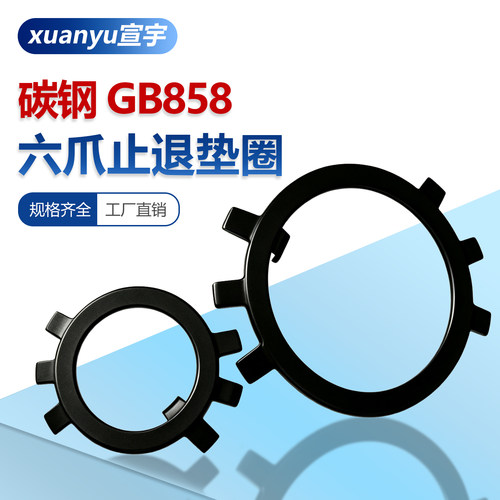 国标GB858止退垫圈六爪垫圈