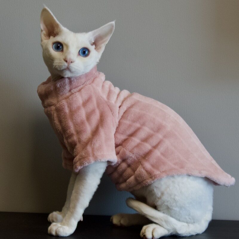 无毛猫衣服斯芬克斯德文宠物猫貂绒打底加厚保暖舒适耐舔耐脏