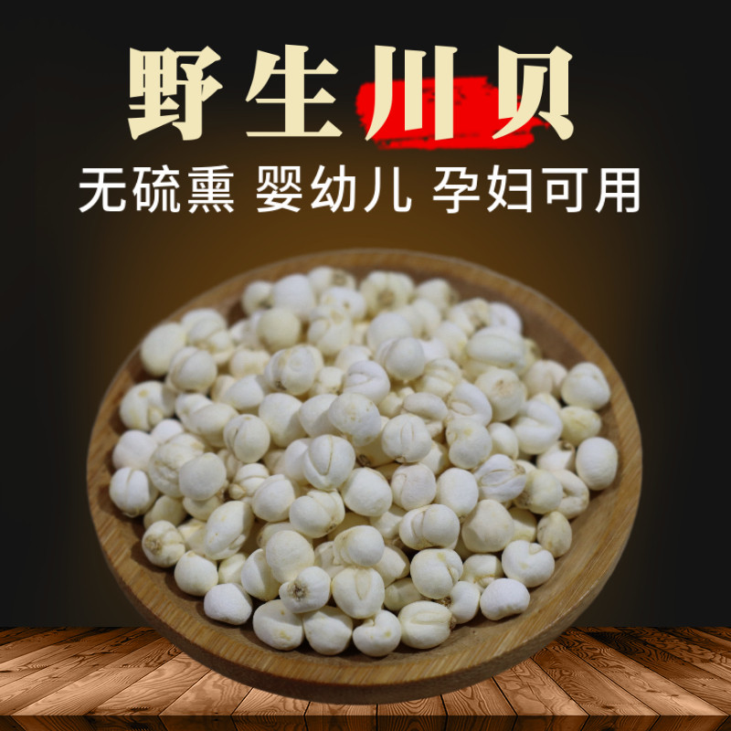 250g川贝川贝母无熏正品四川川贝粒川贝粉儿童原色川贝中药可磨粉