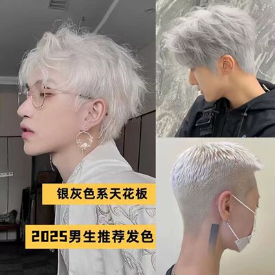 【明星发色】男士银灰色染发膏