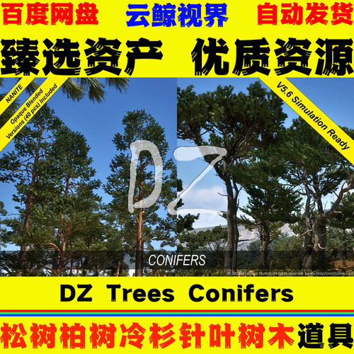 UE5.1+虚幻5 DZ Trees Conifers 松树柏树冷杉针叶树自然植物模型