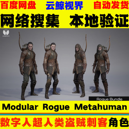 UE5.5+虚幻5 Modular Rogue Metahuman 数字人盗贼刺客人物模型