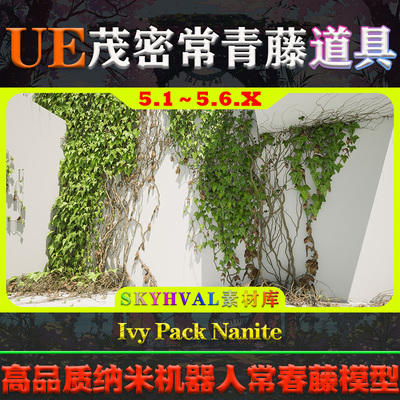 UE5.1-5.6.X虚幻道具 Ivy Pack Nanite 爬山虎藤蔓常春藤植物模型