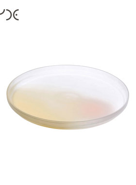 土耳其NUDE进口Pigmento盘水晶玻璃彩色果盘果盆圆形托盘家用极简
