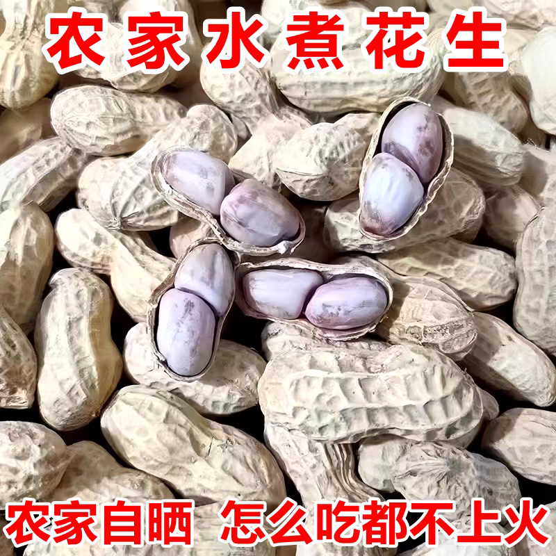 新龙岩水煮花生白晒干盐水煮咸干湿烤500gx2袋装散带壳熟零食特产