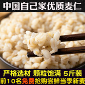 河南优质麦仁新米去皮小麦仁大麦米麦仁米粥营养早餐代餐五谷杂粮