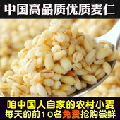 麦仁五谷杂粮小麦仁米粥粗粮大麦米粥营养早餐营养代餐农家自产