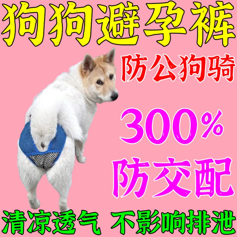 狗狗避孕裤母狗防交配神器狗发情裤防交配裤生理裤可排泄裤防骚扰