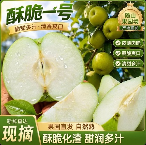 砀山青梨酥脆一号现摘现发自然熟