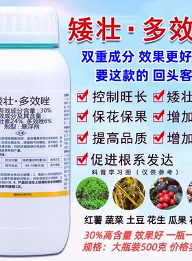 矮状素多效唑全丰大牌控旺又增产