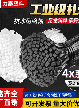 高强度尼龙扎带3x150 80 100 200电源线园艺塑料4系列非标宽2.8mm