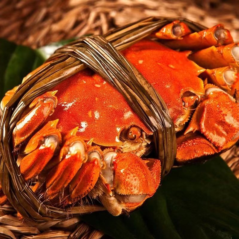 现货10只特大大闸蟹全母鲜活螃蟹礼盒装新鲜清水河蟹活蟹冷链包邮,水产肉类/新鲜蔬果/熟食,大闸蟹,淘宝优惠券,粉丝福利购,淘宝优惠卷