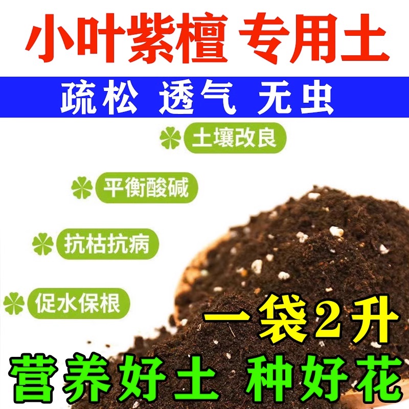 小叶紫檀专用肥赤楠黄杨盆景肥料盆栽土壤急救叶子发黄掉叶营养液