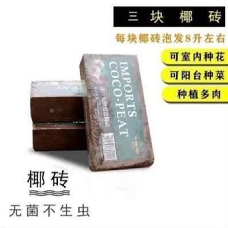 冬眠土月菜季爬虫蔬菜种养种植菜HAD3641种无菌土种植物栽土壤花