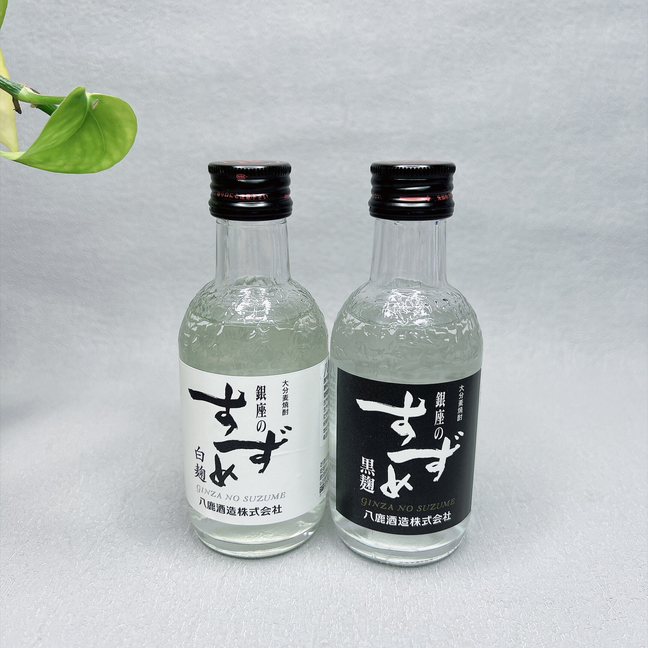 特价酒水 银座之雀白/黑曲烧酒100ml小瓶装25%vol日本蒸馏酒