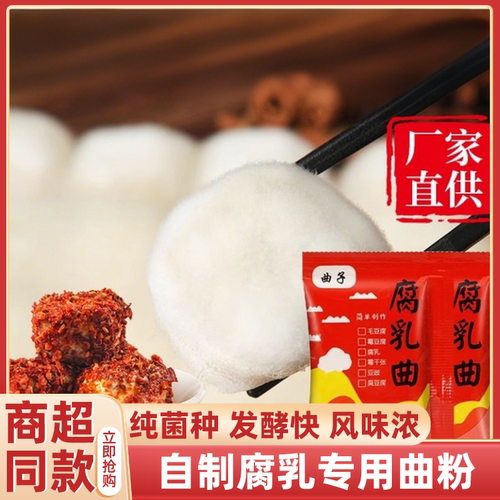 正宗曲子腐乳曲家用发酵菌粉霉菌