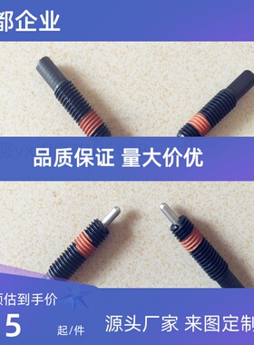 PJL16/20/24/30-10/15/20/30/40/50/60 轻载型 弹簧柱塞 弹簧顶丝