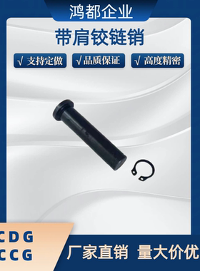 带肩铰链销轴 HCDG HCCG3 4 6 8 10 12 15 20 卡簧销 MIC01 MIC11