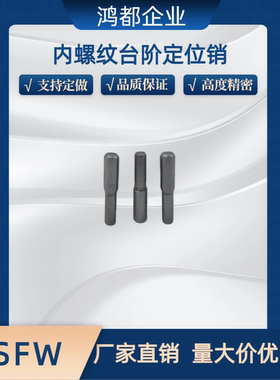 MSFWM内螺纹台阶定位销轴承钢圆柱销MSFW实心台阶销钉5 6 8 10 13