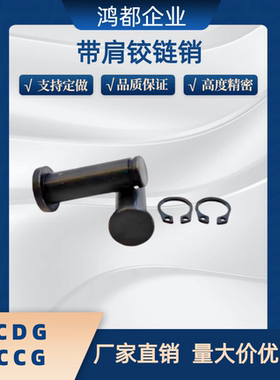 带肩铰链销HCDG3 4 5 6-10 12 14 15 16 18 20 22 24 30 40 45 50