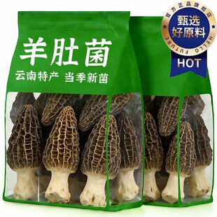 纯正野生羊肚菌干货正品官方旗舰店一级羊肚菌大号煲汤用干货特级