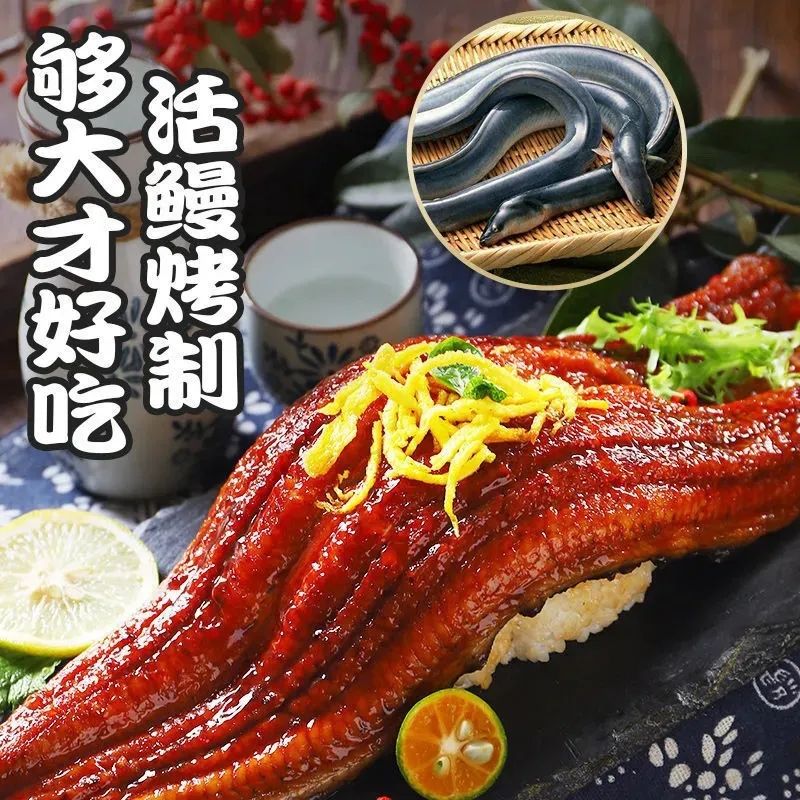 【今日特价】500g一条日式蒲烧鳗鱼加热即食寿司食材网红烤鳗鱼饭