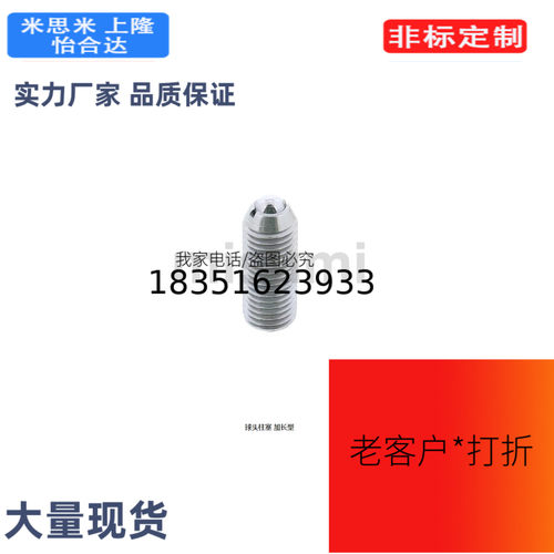 NPJR4NPJR5NPJR6NPJR8NPJR10NPJR12NPJR16球头柱塞 加长型