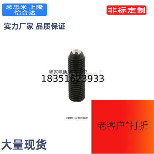 BPSLS3/4/5/6/8/10/12/16/球头柱塞　L尺寸选择加长型
