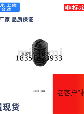 BSMN6/8/10/BSZN6/8/10/BNMN6/8/10BNZN6/8/10球头柱塞　树脂型　