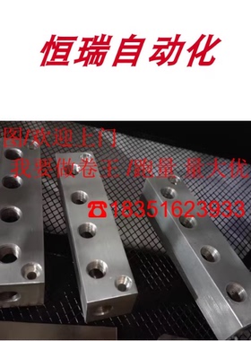 歧管块BMSFLT3-Q4-G2-K2/BMSFA/BMSFLA