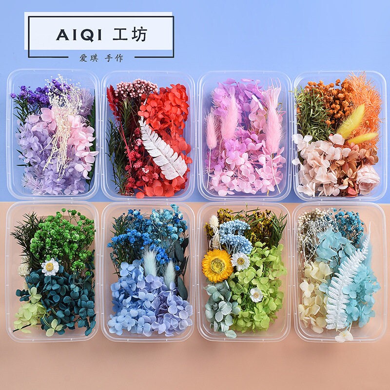 玫瑰干花盒材料包混装干花手工伴手多色礼盒全套团扇套餐配件相框