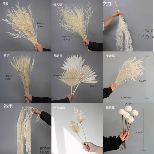 干花永生花花束小米花北欧天然手工轻奢玫瑰蓬莱松摆放拉毛果婚庆