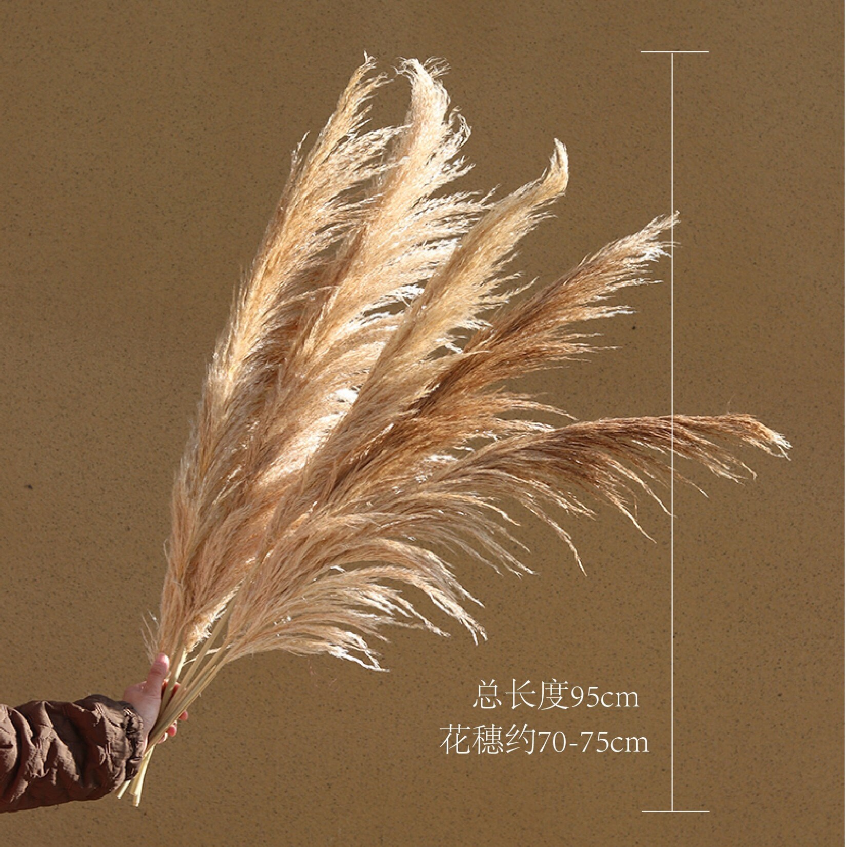 田园风芦苇干花花束蒲扇高级插花松果客厅软装大芦苇复古道具新款