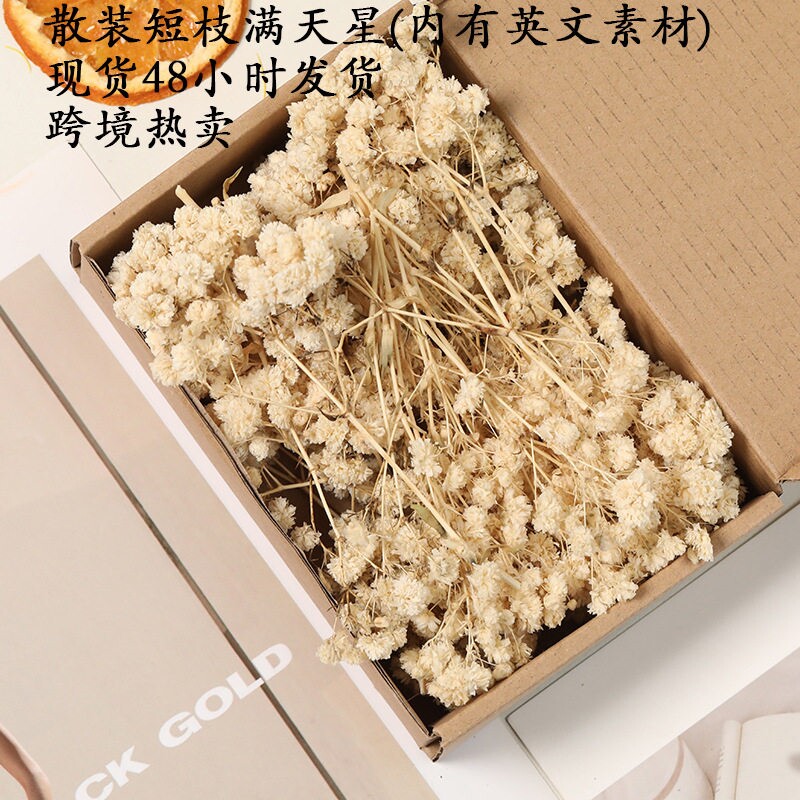 满天星diy永生花摆件幼儿园插花批发家用节日材料摆设包装压花