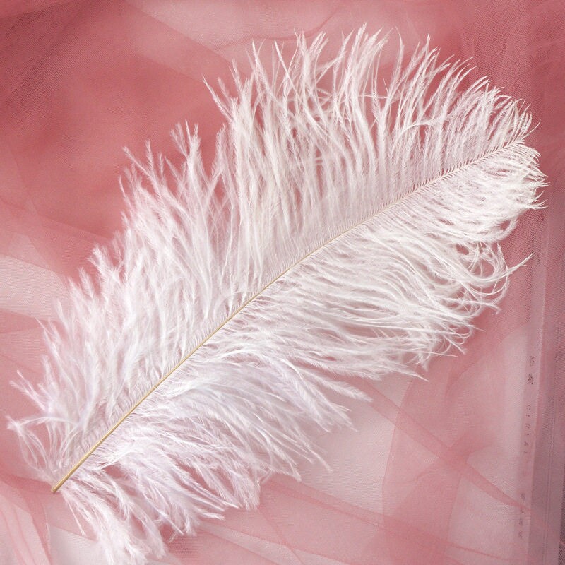 20-25cm驼鸟毛大羽毛橱窗氛围粉色自制戏曲布置制作软装演出卧室