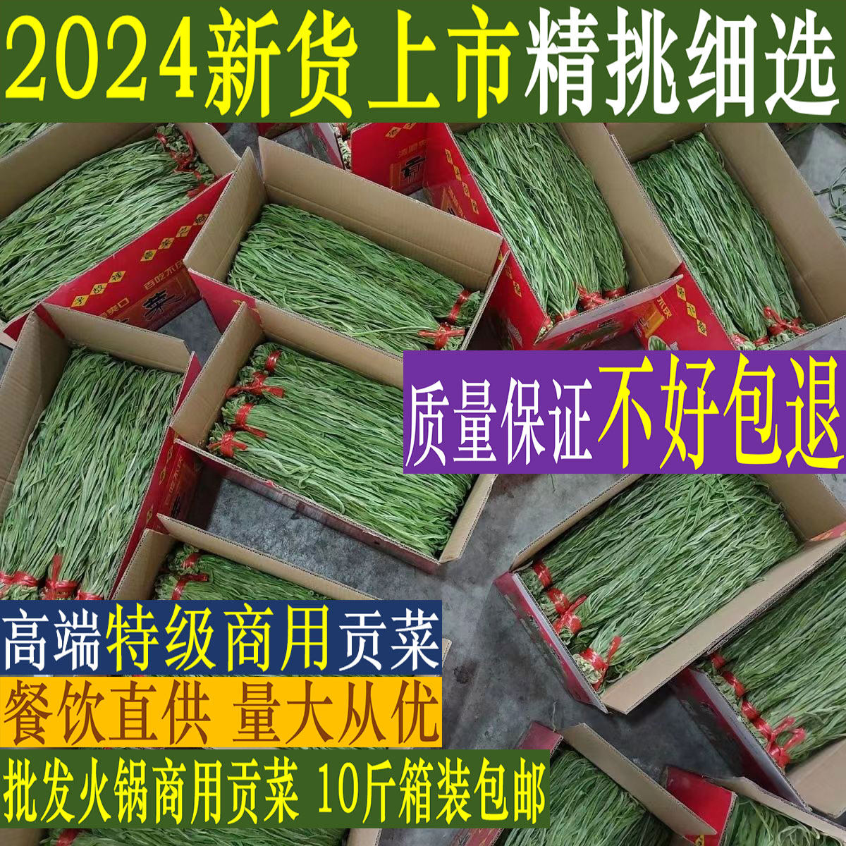 亳州特级贡菜苔菜响菜农家特产
