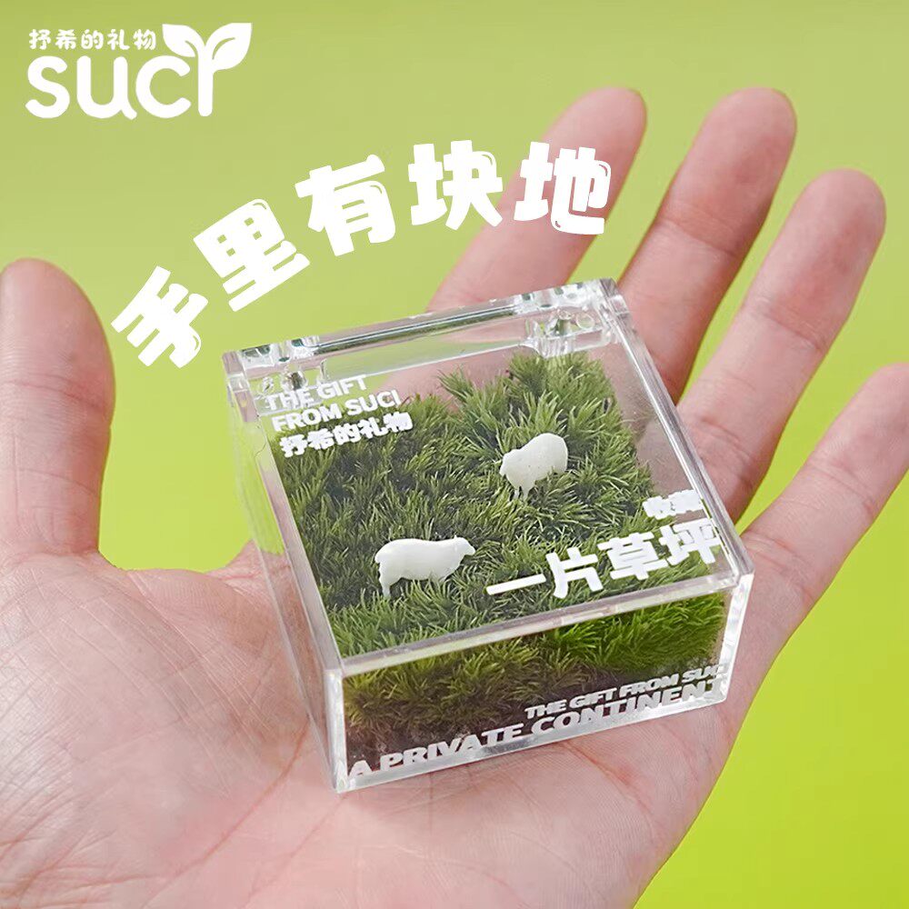办公室桌面苔藓微景观生态瓶迷你