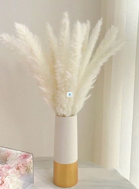 Bulrush Natural Dried Flowers Artificial Plants Branch