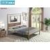 Queen Canopy Metal Upholstered Four-Poster Bed Frame With He