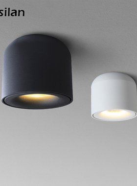 Aisilan LED Downlight Ceiling Spotlights Living Lamp Nordic