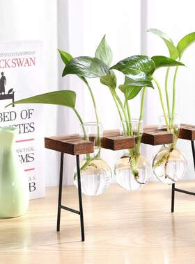 Frame Glass Vase Tabletop Terrarium Hydroponics Plant Vases