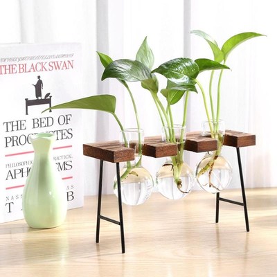 Frame Glass Vase Tabletop Terrarium Hydroponics Plant Vases