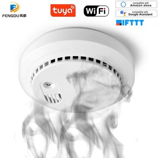Wifi Carbon Monoxide Detector Co Smoke Sensor Smart Home Sec